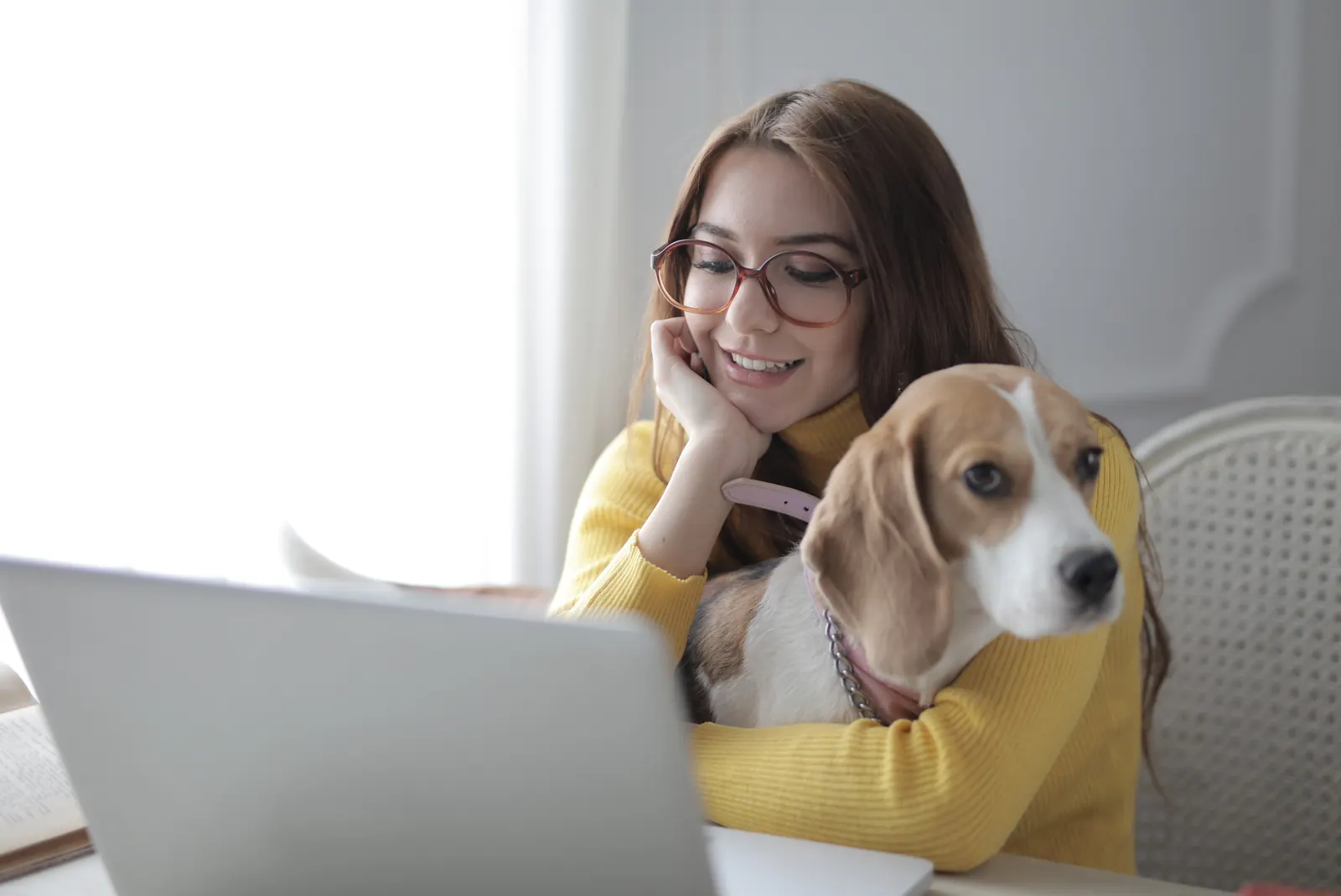 Evde köpek bakıcılığı: köpeğine sarılan genç kadın